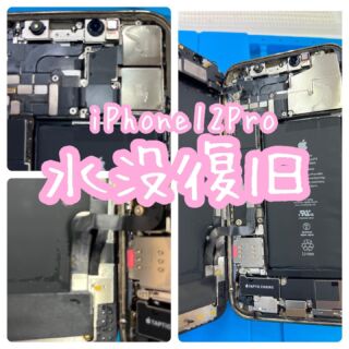 今すぐお問い合わせ